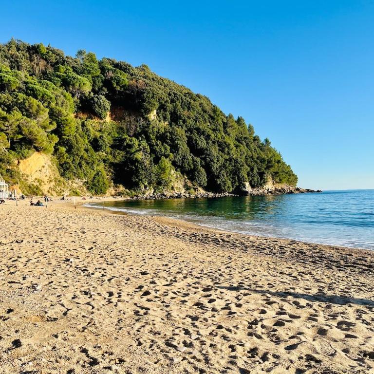 5 Terre apartment - close to port promenade - Two-Bedroom Apartment - 24