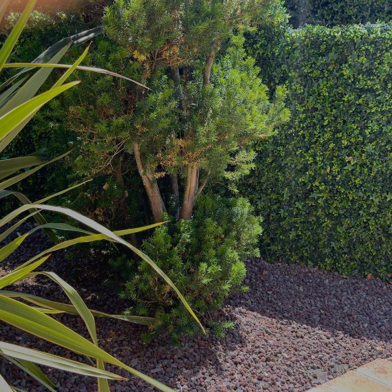 Eden Villa Max Fully Equipped Quiet Area Total Privacy 360 Nature Views Near Cannes Antibes Nice Valbonne Mougins - Villa - 37