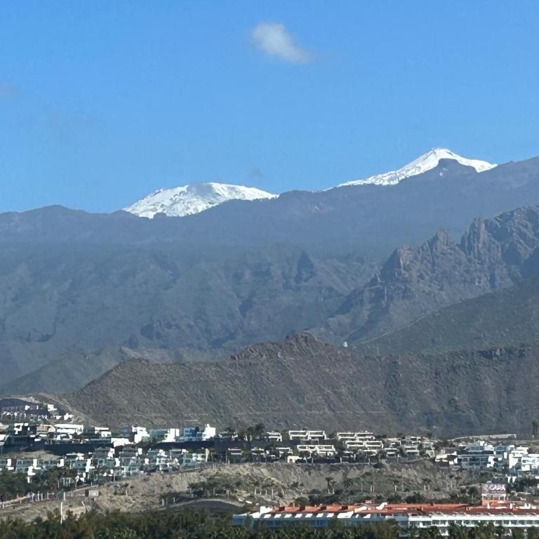 TORRES DEL SOL 14 Floor OCEAN'S BALCONY - Appartement 1 Chambre - 31
