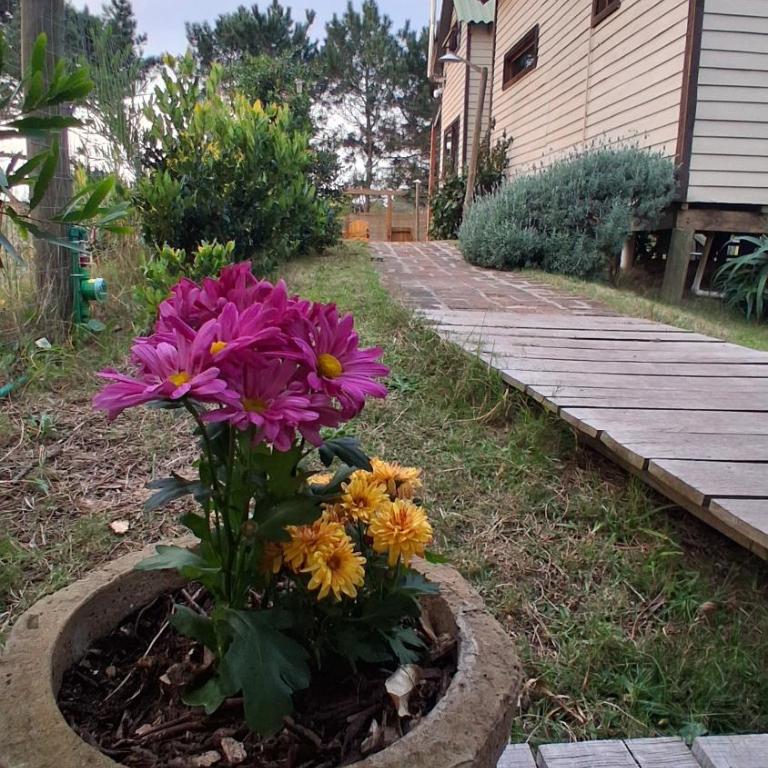 Villa Gutierrez2 - Two-Bedroom House - 2