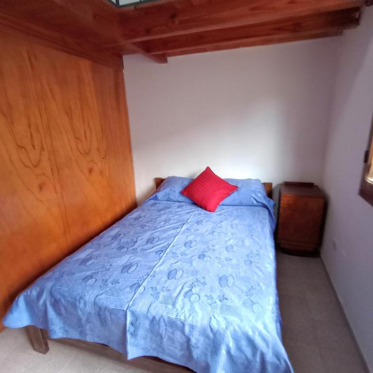 Hospedaje Cumbres Mendocinas-Depto Aconcagua - Apartamento de 1 dormitorio - 14