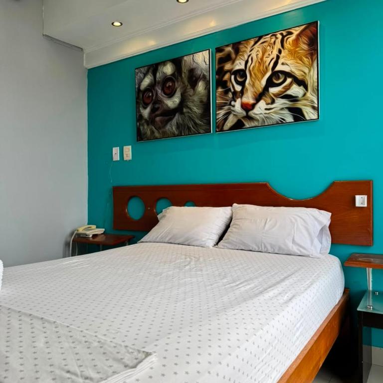 Hotel Confort Amazónico - Standard Double Room - 1