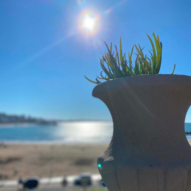 Unique fully renovated one block walking to the ocean area Torreon - One-Bedroom Apartment - 25