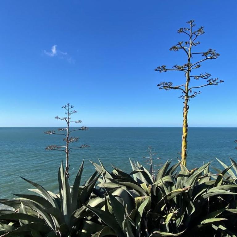 Unique fully renovated one block walking to the ocean area Torreon - One-Bedroom Apartment - 28