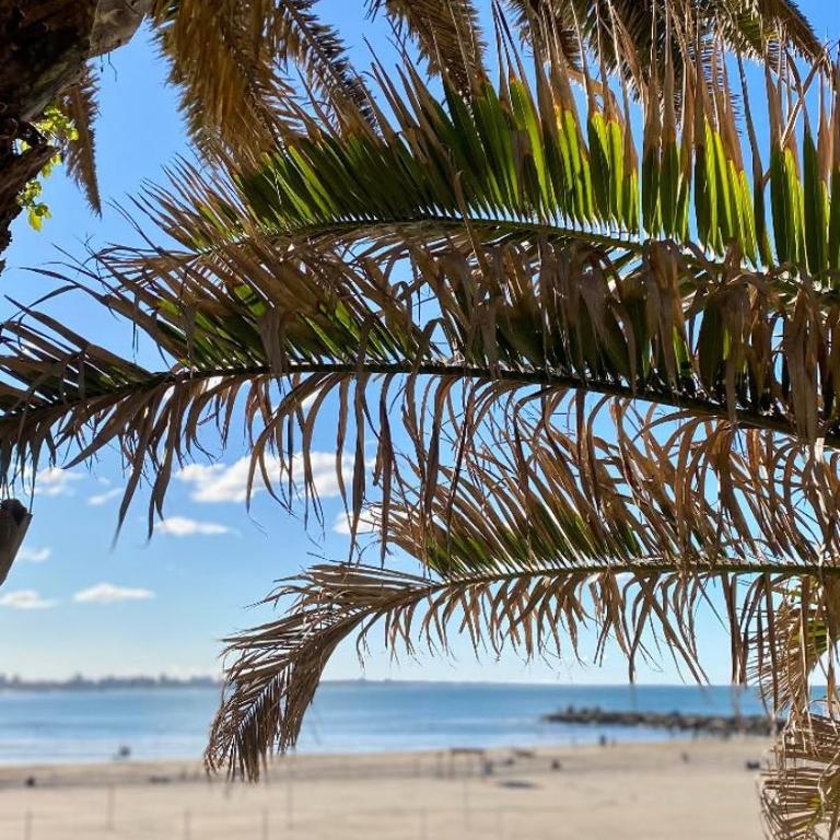 Unique fully renovated one block walking to the ocean area Torreon - One-Bedroom Apartment - 34