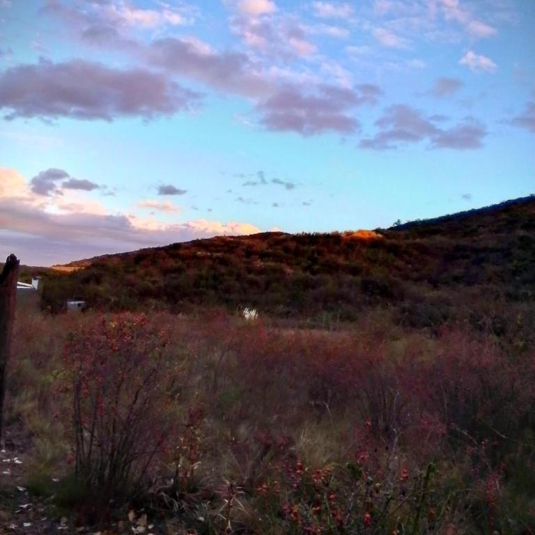 Refugio de Monte - Chalet de 1 dormitorio - 14