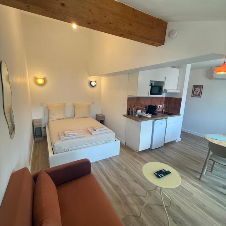 Studio Ô Maé proche Village Outlet - Aéroport - St-Quentin-Fallavier - Appartement 1 Chambre - 1