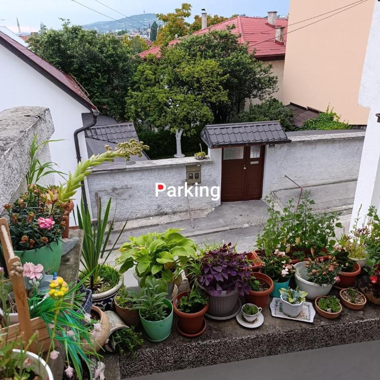 Apartman Ohren - Apartman sa 1 Spavaćom Sobom - 5