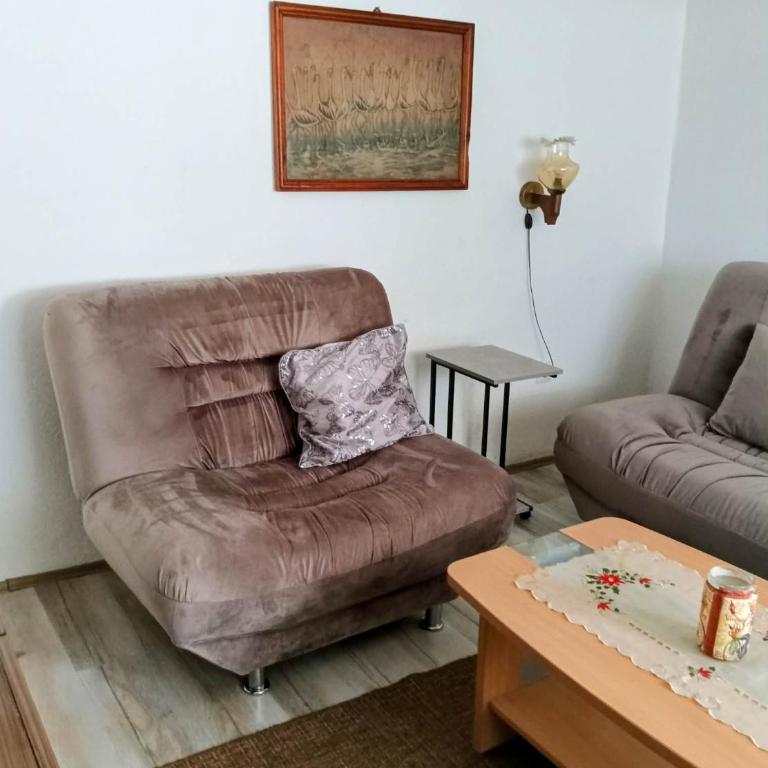 Apartman SLADJANA Vrnjacka Banja - Superior Apartman sa 1 Spavaćom Sobom - 13