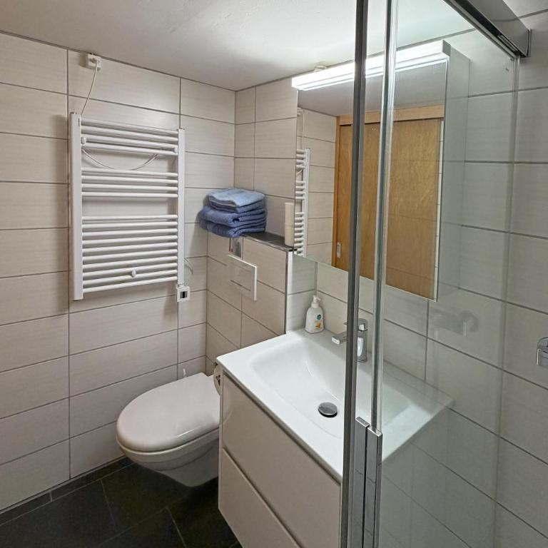Studio bim Chalet bim Chilchli - Apartment mit 1 Schlafzimmer - 11
