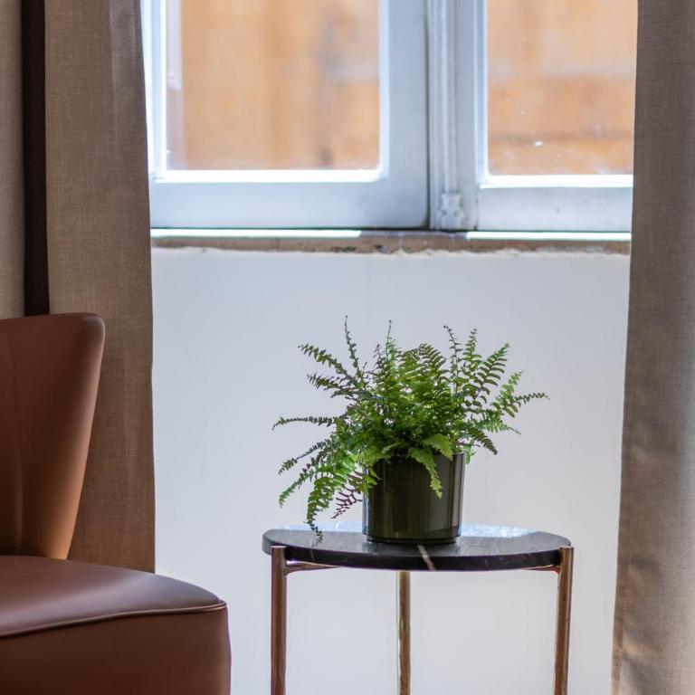 Palazzo Taverna Apartments - Appartamento con 2 Camere da Letto - 12