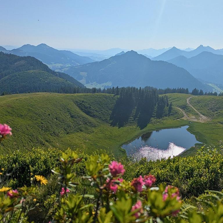 Vital Lodge Allgäu mit Schwimmbad, Sauna & Oberstaufen PLUS - Apartment mit 3 Schlafzimmern - 21