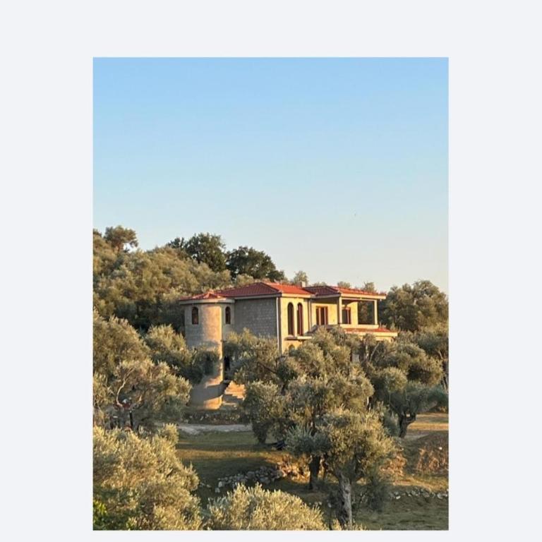 Whisper of Olives - 5 Min Drive to the Old Town, Bar - Apartman sa 1 Spavaćom Sobom - 1