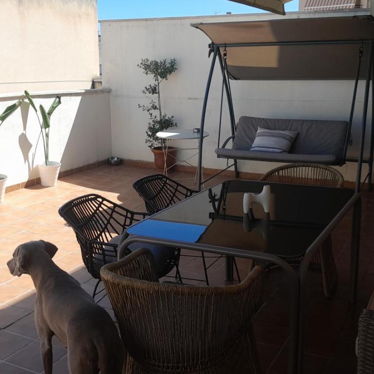 Jacaranda - Appartement 1 Chambre - 7