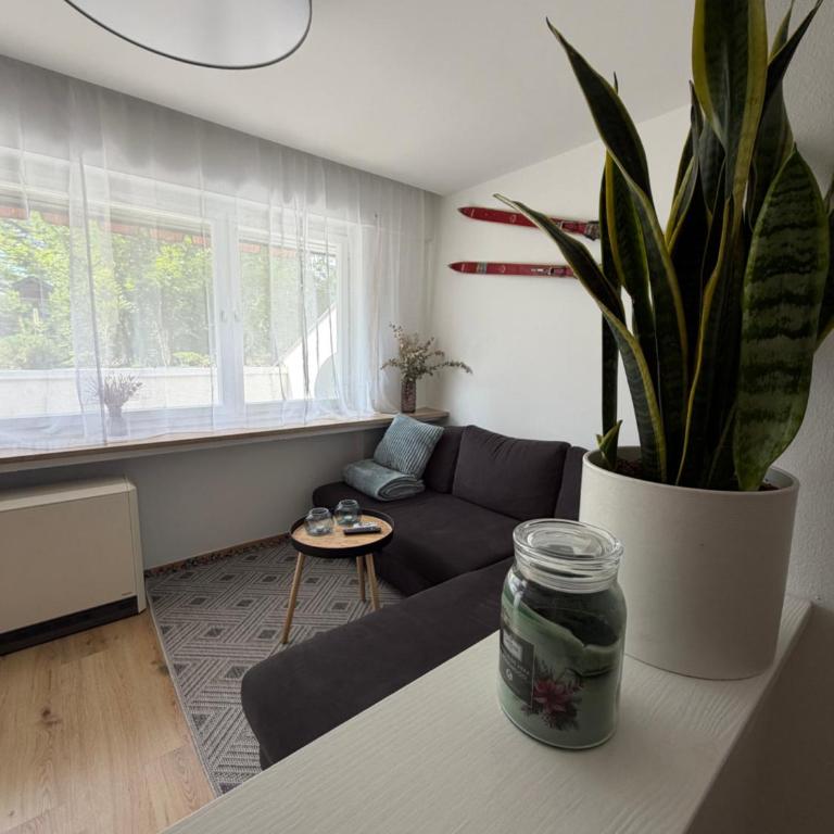 Apartment Alpenglanz - Apartment mit 2 Schlafzimmern - 4