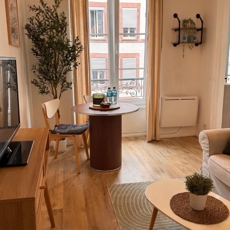 Le Strasbourgeois II - Appartement 1 Chambre - 4