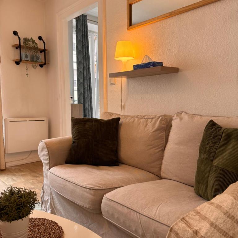 Le Strasbourgeois II - Appartement 1 Chambre - 3