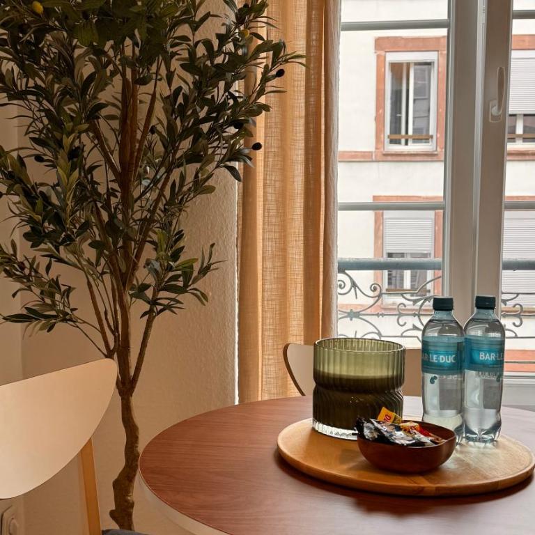 Le Strasbourgeois II - Appartement 1 Chambre - 5