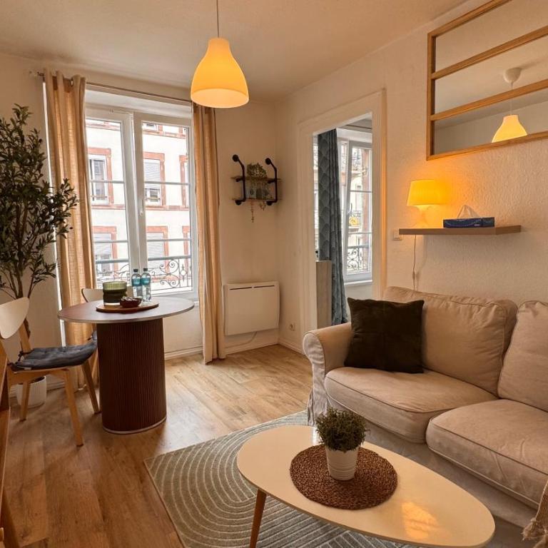 Le Strasbourgeois II - Appartement 1 Chambre - 1