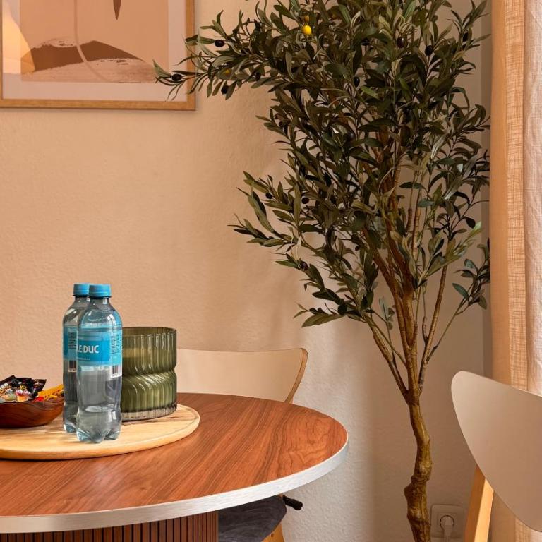 Le Strasbourgeois II - Appartement 1 Chambre - 2