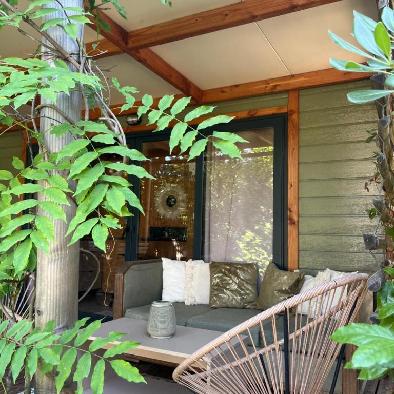 La tiny des îles d or - Appartement 1 Chambre - 5