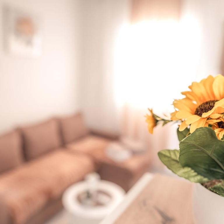 Nora Apartments - Appartement 1 Chambre - 1