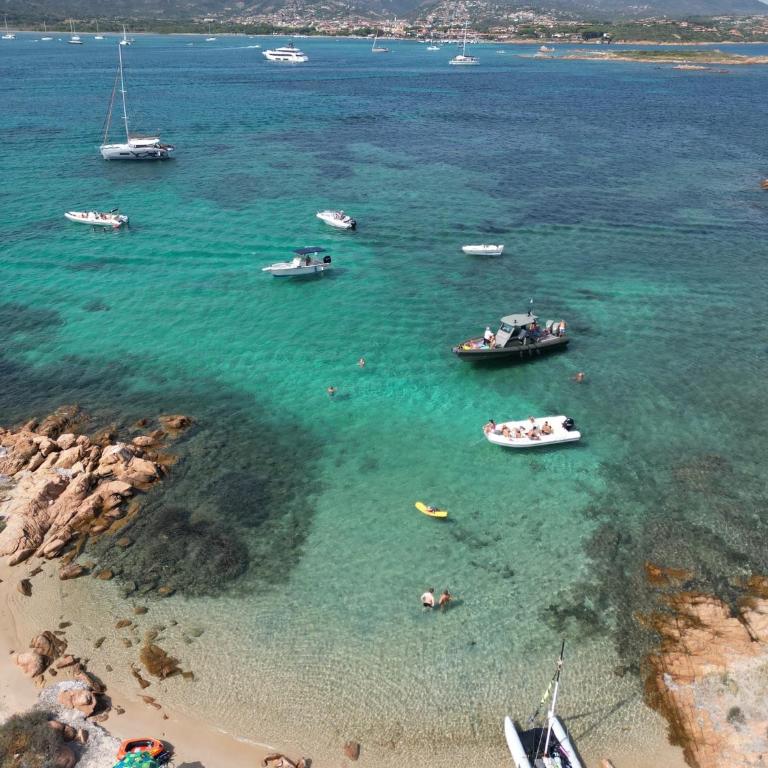 Vermentino - Apartment - 200m from the Beach - Garden - Wi-Fi - AC - BBQ - Parking - Pet Friendly - Casa con 1 Camera da Letto - 21