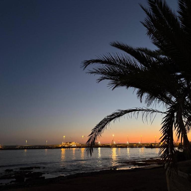 Apartamento Pargue Tropical - Appartamento con 1 Camera da Letto - 24