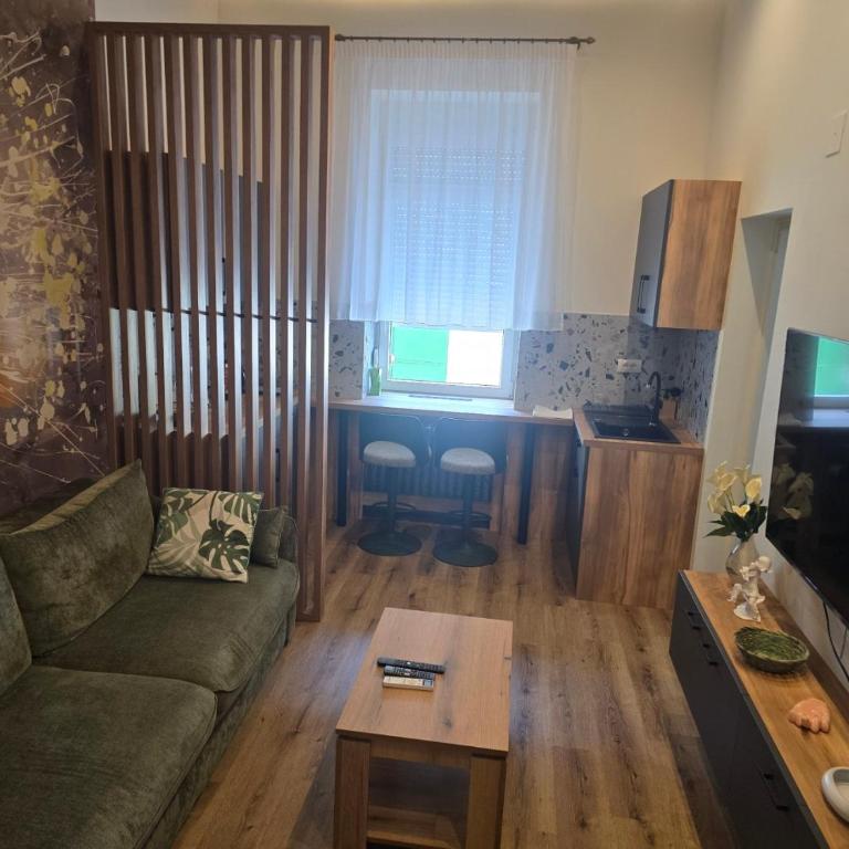 Apartmani Kukucka, Extra Sredjeno, Dnevna soba i kupatilo, 2 osobe - Suite - 4