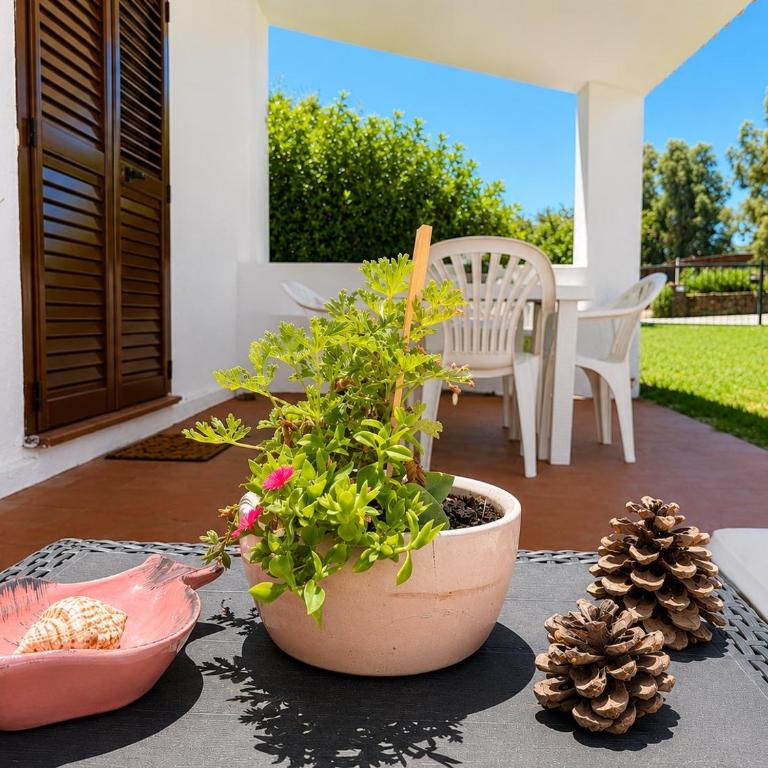 Seadas Garden Home - Beach 2 min away - Wi-Fi - AC - Parking - BBQ - Pet Friendly - Appartamento con 1 Camera da Letto - 21