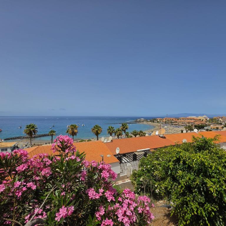 Las Vistas Beach - Appartement 2 Chambres - 23