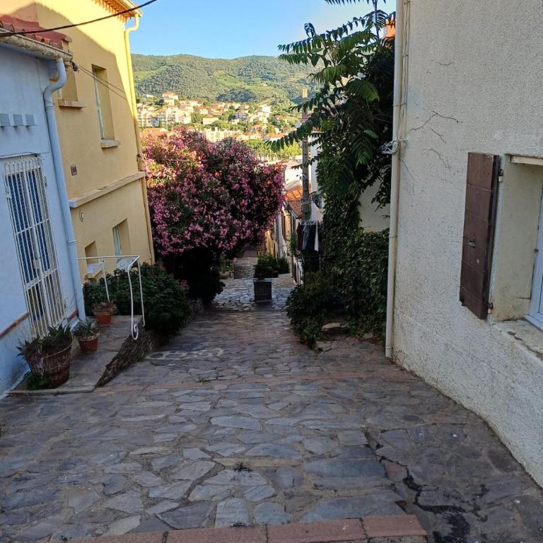 Maison - Banyuls sur Mer - Haus mit 2 Schlafzimmern - 11