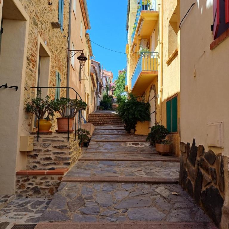 Maison - Banyuls sur Mer - Haus mit 2 Schlafzimmern - 12