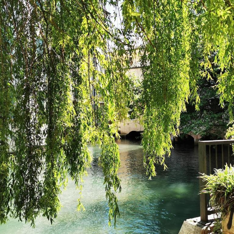 Your Home in Treviso, Venice - Collalto 12 - Three-Bedroom Apartment - 22