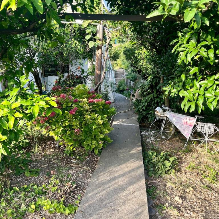 Cozy Garden Studio Apartment-Free Parking-Buljarica - Apartment mit 1 Schlafzimmer - 3