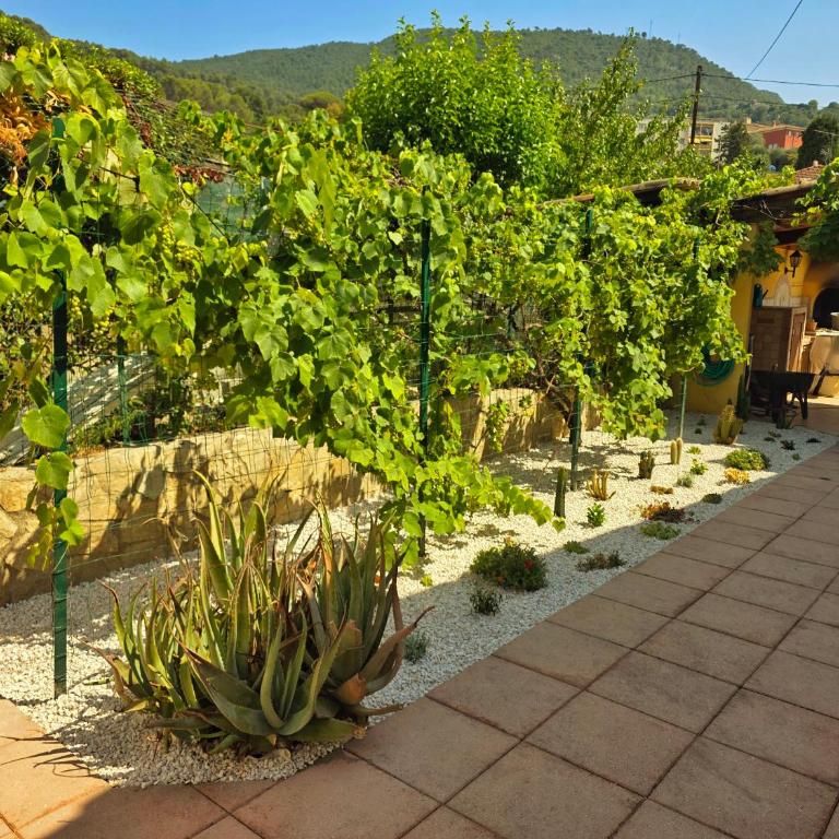 La Bastide Bohême Cozy studio, garden & parking - Maison 1 Chambre - 35