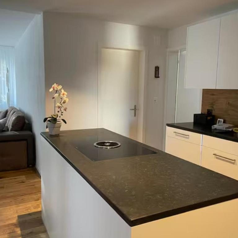 Large Apartment Central WEF location - Apartment mit 1 Schlafzimmer - 7