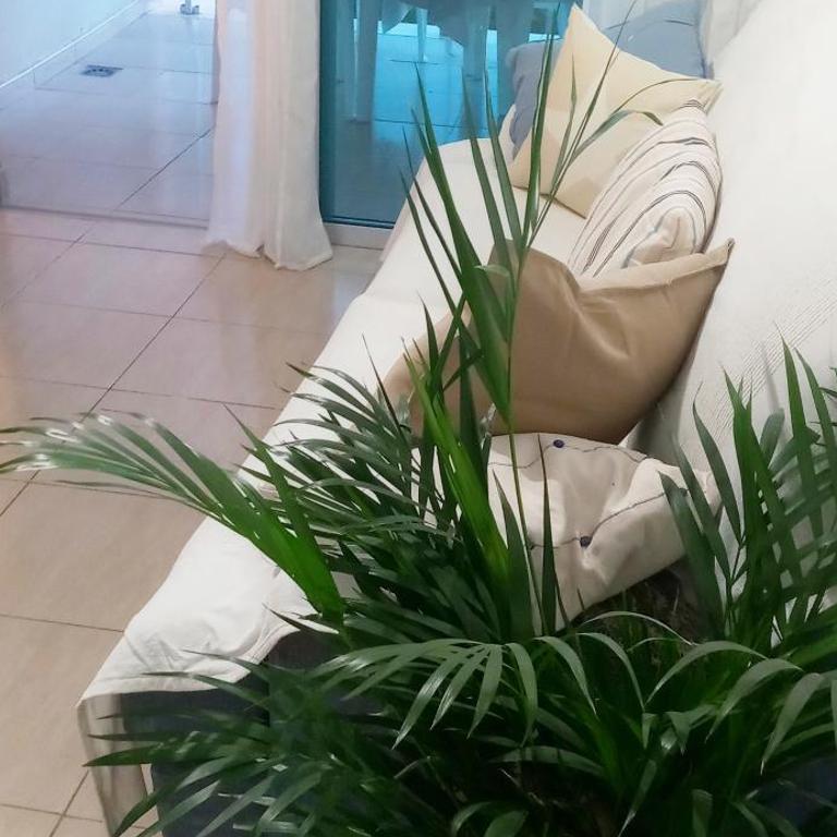 Océano y sol en Golf del Sur - One-Bedroom Apartment - 8
