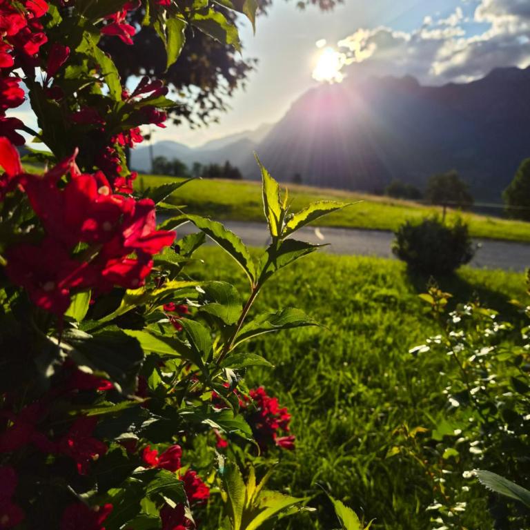 Appartement Schwarzkoglerhof - Apartment mit 2 Schlafzimmern - 10