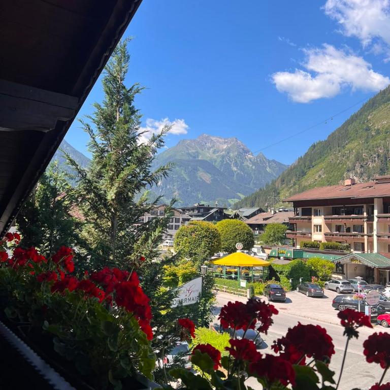Bergsteiger-Zimmer Pension Obermair - Einzelzimmer mit Balkon - 4
