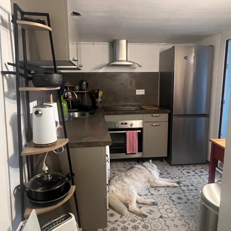 Appartement avec piscine et jacuzzi à 50mètres de la plage et 5min de l'allée des Pins - Apartamento de 1 dormitorio - 2