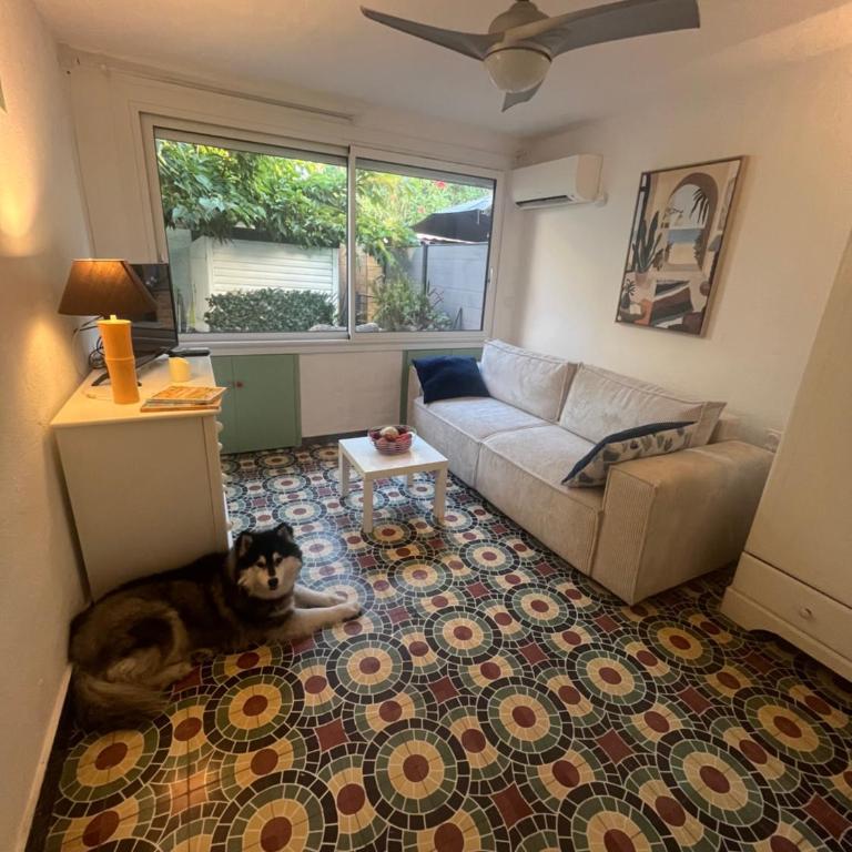 Appartement avec piscine et jacuzzi à 50mètres de la plage et 5min de l'allée des Pins - Apartamento de 1 dormitorio - 4