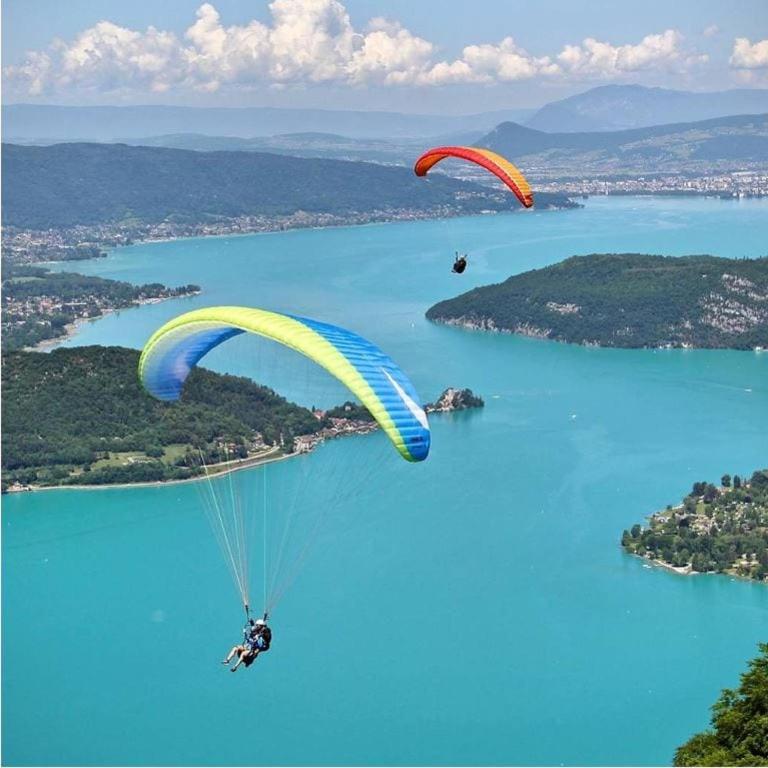 T3 vue montagne entre lac et rando Talloires-Montmin - Appartement 2 Chambres - 11