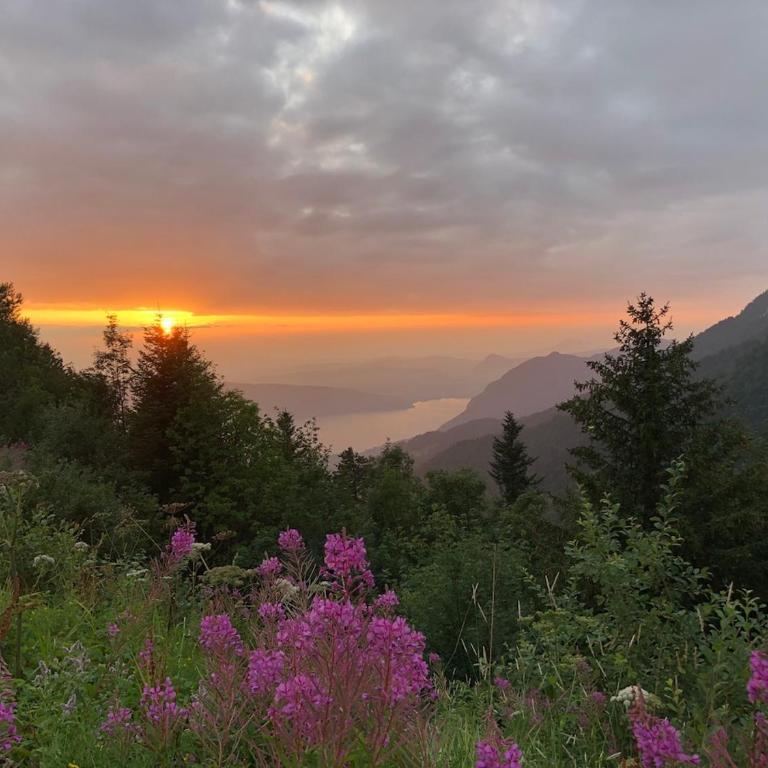 T3 vue montagne entre lac et rando Talloires-Montmin - Appartement 2 Chambres - 13
