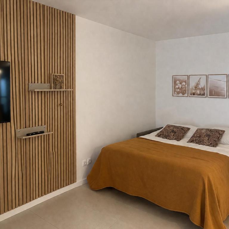 Gruissan HUBLOTS DU PORT - Appartamento con 1 Camera da Letto - 13