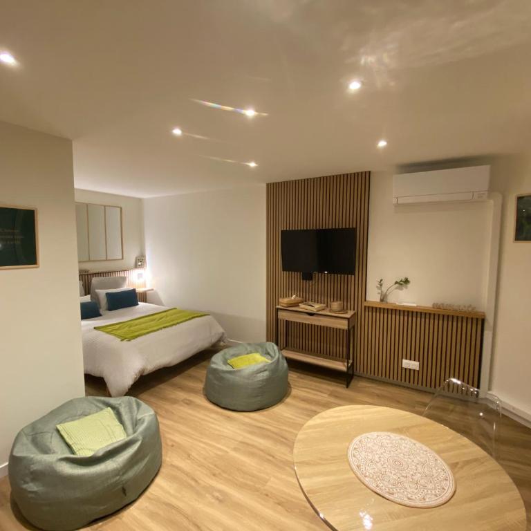 Meylan, T1 cosy & clim, proche Inovallée CHU, UGA - Appartement 1 Chambre - 1