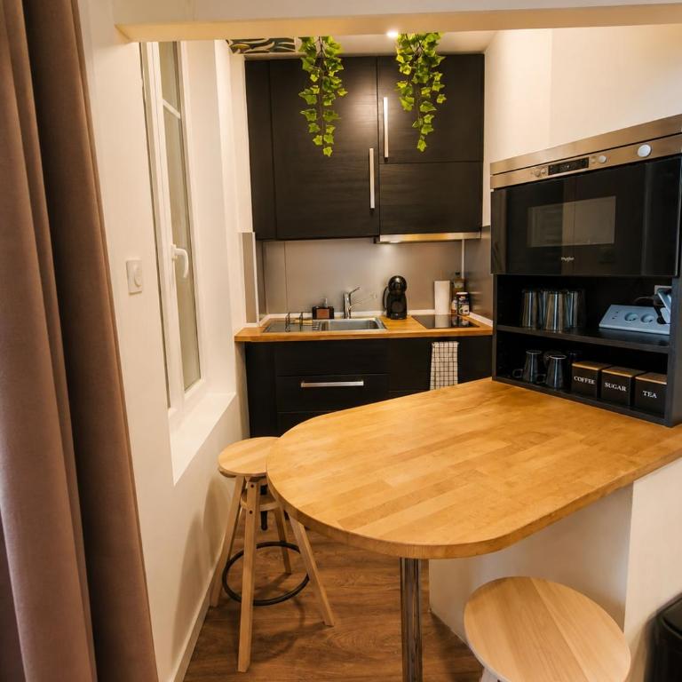 Studio Cosy et climatisé Place DARCY - Appartement 1 Chambre - 5