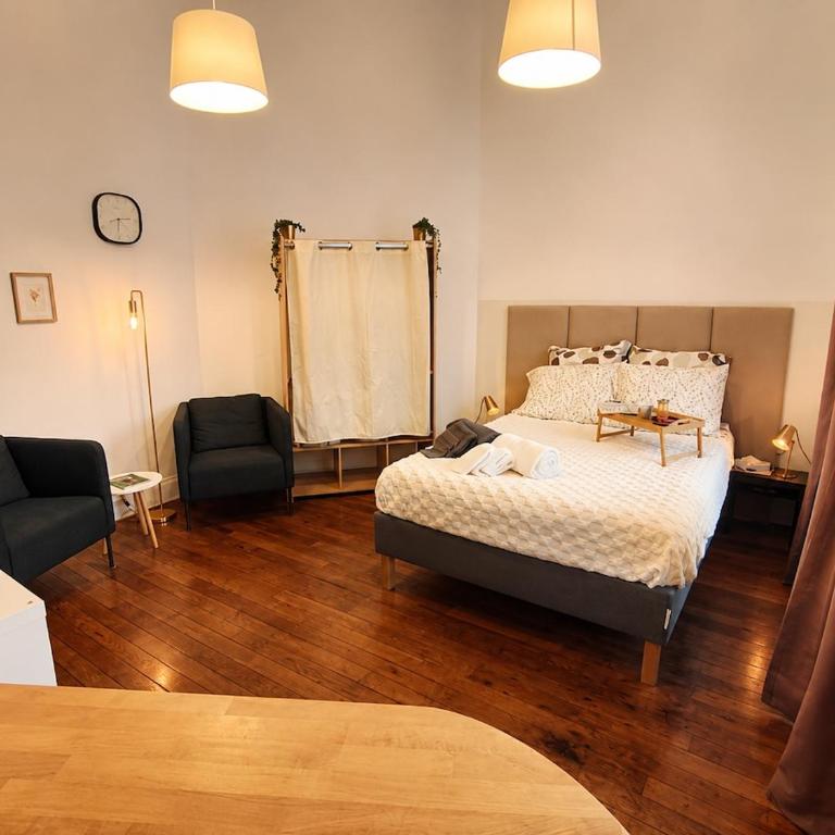 Studio Cosy et climatisé Place DARCY - Appartement 1 Chambre - 6