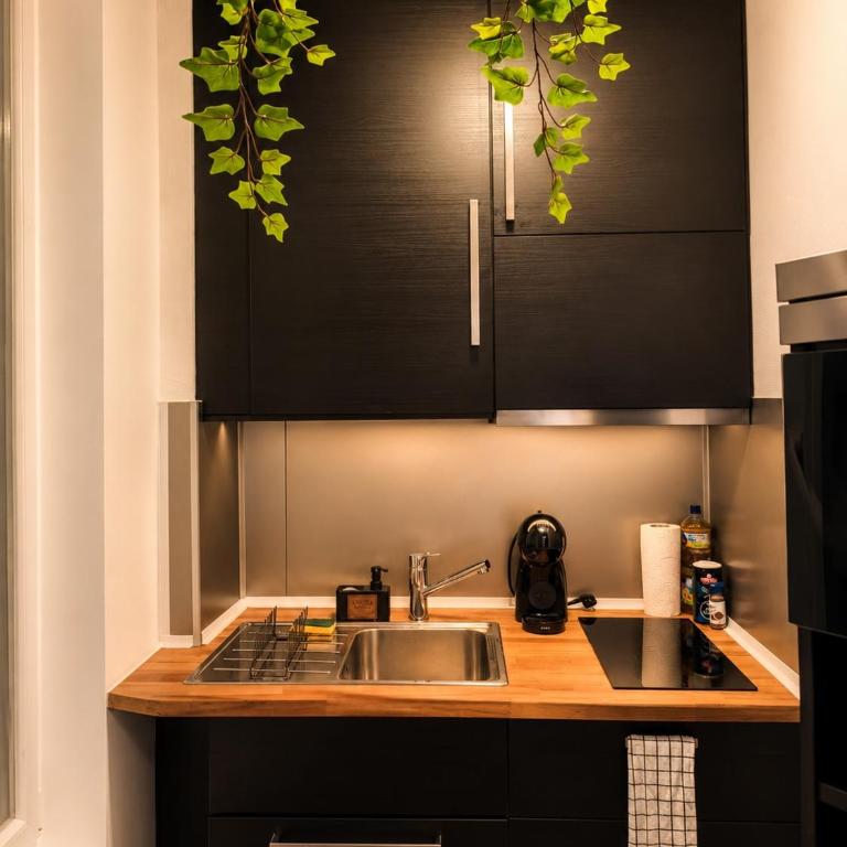 Studio Cosy et climatisé Place DARCY - Appartement 1 Chambre - 8