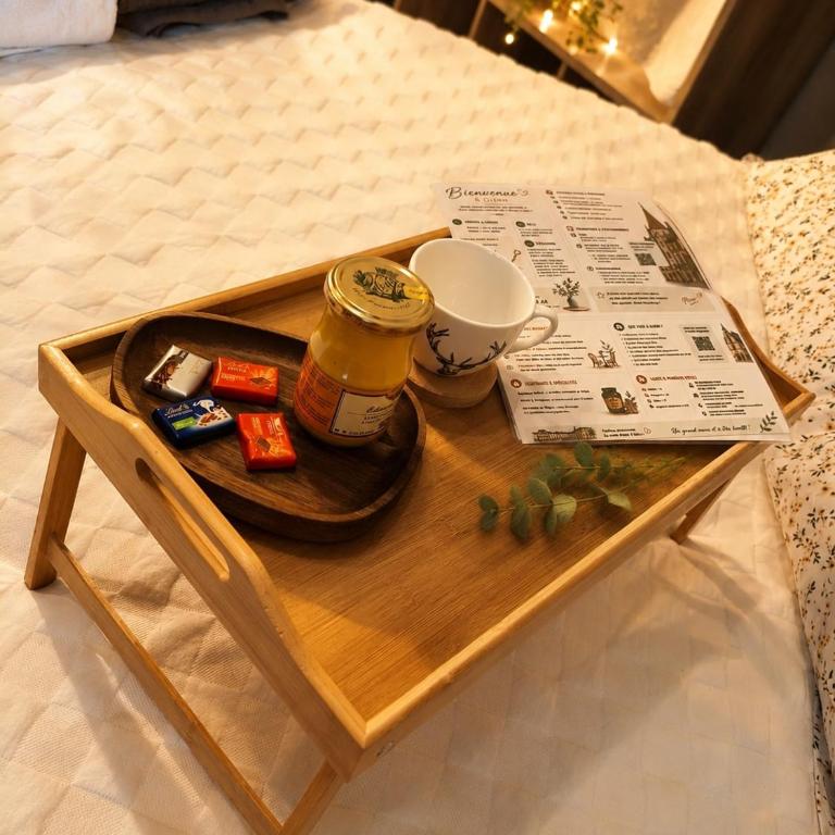 Studio Cosy et climatisé Place DARCY - Appartement 1 Chambre - 9